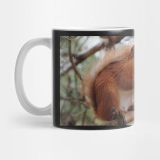 Red squirrel Mug